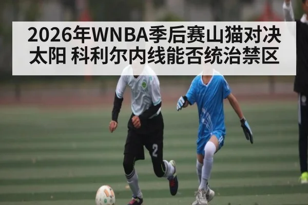 2026年WNBA季后赛山猫对决太阳 科利尔内线能否统治禁区